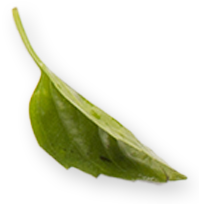 Leaf Decoration